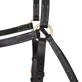 Syd Hill Barcoo Bridle Head