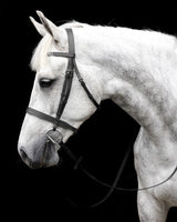 Cavallino Show Bridle