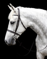 Cavallino Show Bridle