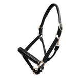 PLATINUM LEATHER SHOW HALTER