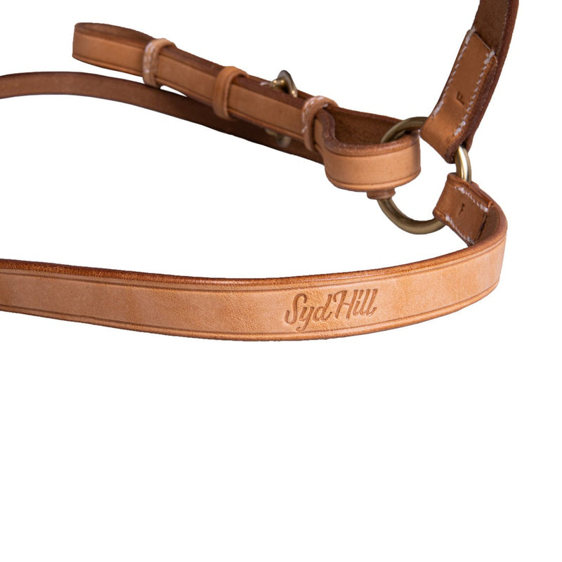 Syd Hill Barcoo Bridle Head