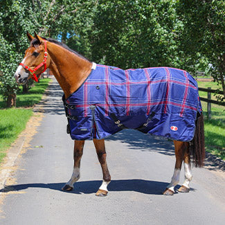 Zilco Crusader 200 Rug - 200g