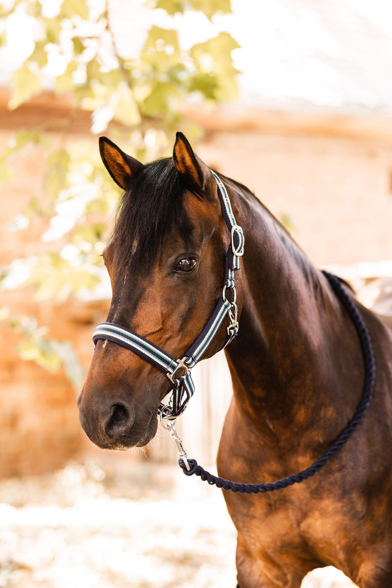 Horze Magic Carousel Part 2 Pony Halter & Lead Set