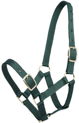 Zilco Gymkhana Foal Halter