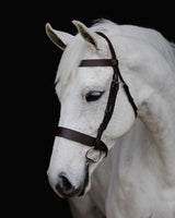 Platinum Show Bridle