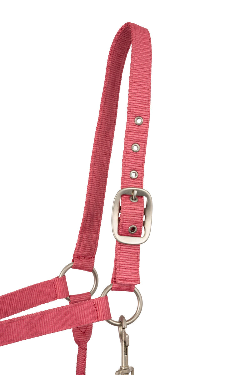 Horze Rose Tonique Halter