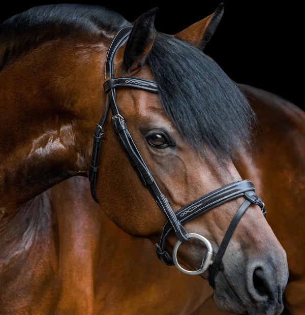 LUMIERE 'MILAN' BRIDLE (CONVERTIBLE)