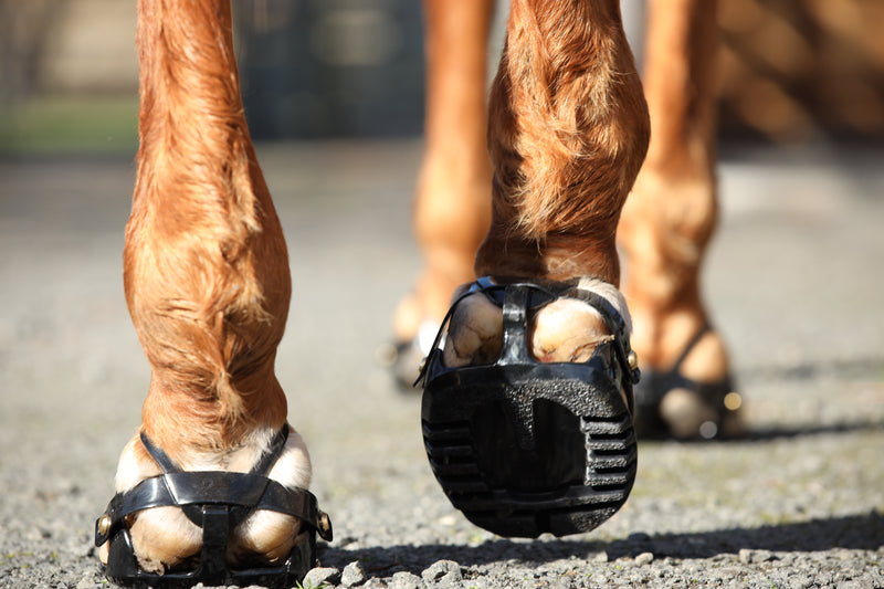 Scoot Enduro Hoof Boots