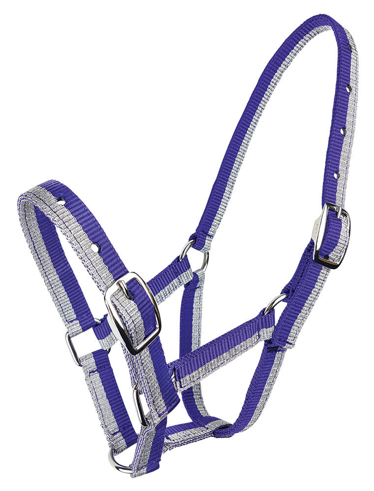 Zilco Sparkle Foal Halter