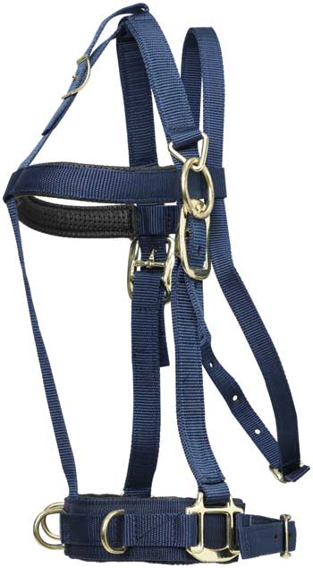 Zilco Deluxe Lunge Halter