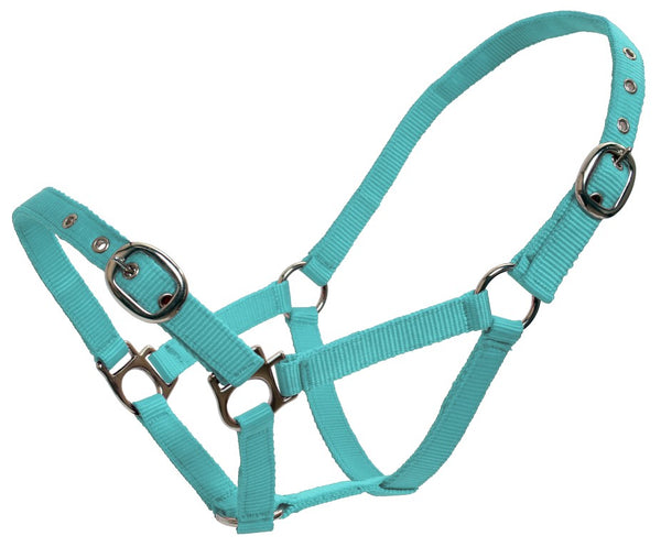 Flair Classic Web Halter 19mm Small Sizes