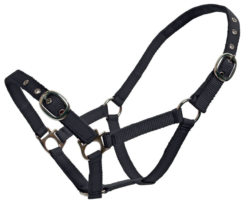 Flair Classic Web Halter 19mm Small Sizes