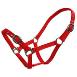 Flair Classic Web Halter 19mm Small Sizes