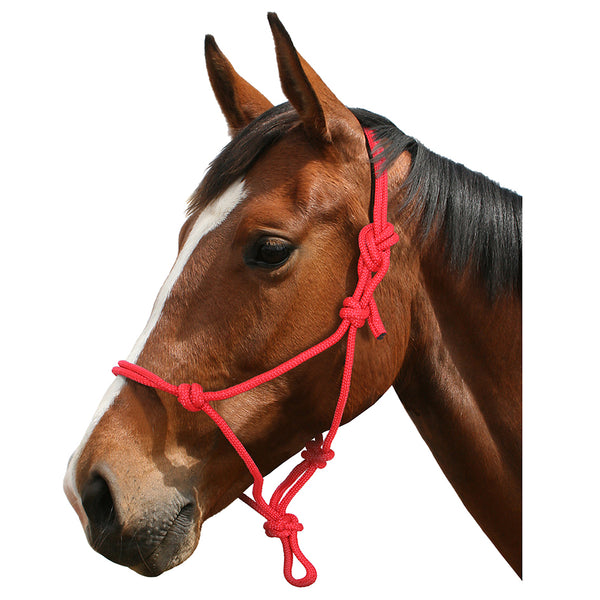 BLUE TAG ROPE HALTER