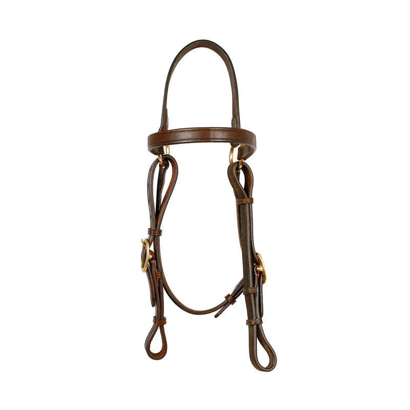 Syd Hill Barcoo Bridle Head