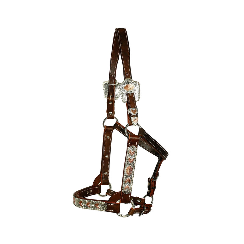 Syd Hill Bowen Show Halter