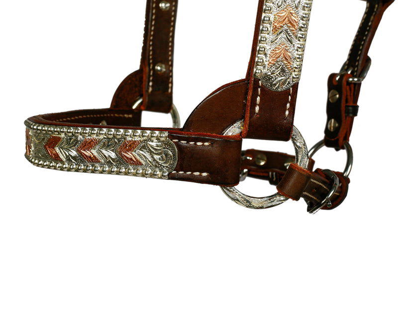 Syd Hill Bowen Show Halter