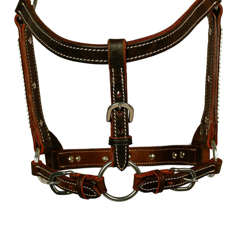 Syd Hill Bowen Show Halter