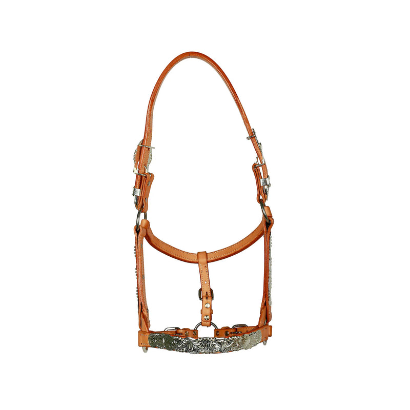 Syd Hill Buller Show Halter