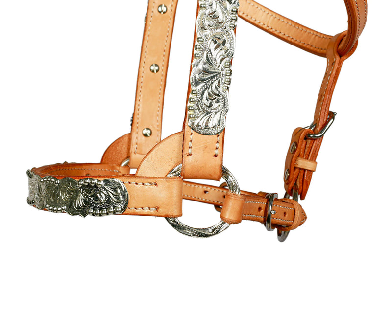 Syd Hill Buller Show Halter