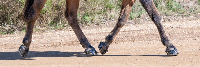 Scoot Enduro Hoof Boots