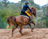 Scoot Enduro Hoof Boots